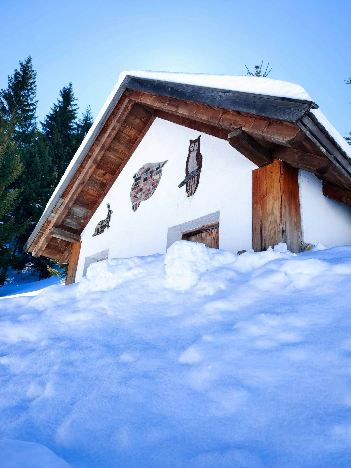 L'investissement dans l'immobilier alpin est-il encore raisonnable ?